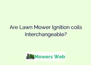 Are Lawn Mower Ignition coils Interchangeable?