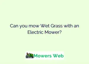 Can you mow Wet Grass with an Electric Mower