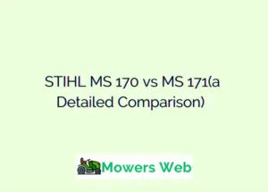 STIHL MS 170 vs MS 171