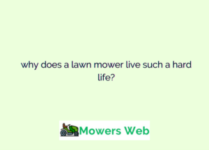 Why Does a Lawn Mower live such a Hard Life