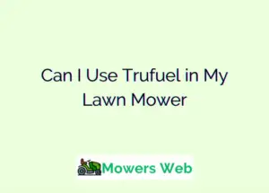 Can I Use Trufuel in My Lawn Mower
