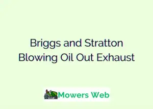 Briggs and Stratton Blowing Oil Out Exhaust