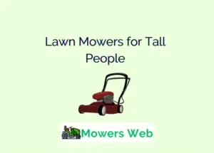 Lawn Mowers for Tall People