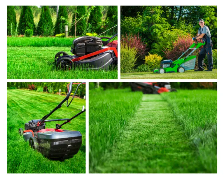 lawn-mowers-for-tall-people-7-best-mowers-mowers-web