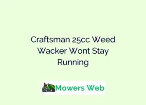 Craftsman 25cc Weed Wacker Wont Stay Running