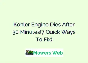 Kohler Engine Dies After 30 Minutes
