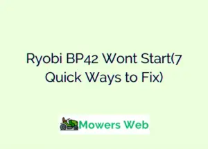Ryobi BP42 Wont Start