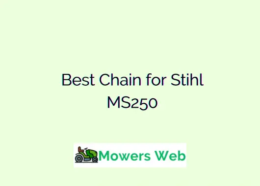 Best Chain for Stihl MS250