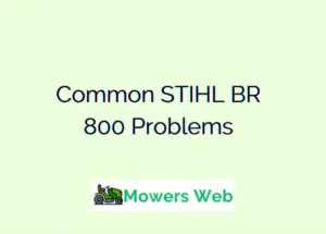 STIHL BR 800 Problems