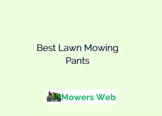 Best Lawn Mowing Pants