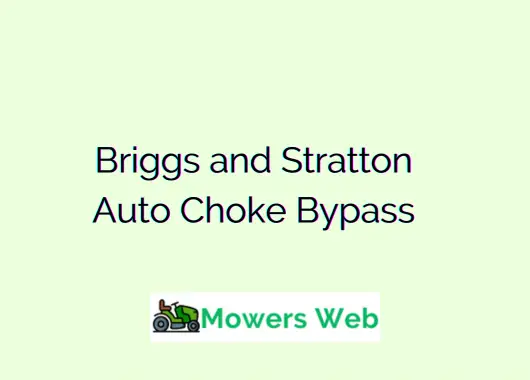Briggs and Stratton Auto Choke Bypass