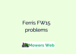 Ferris FW15 problems