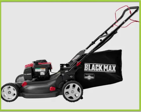 Who makes Black Max Lawn Mowers