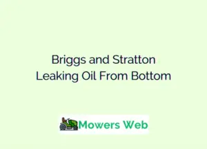 Briggs and Stratton Leaking Oil From Bottom