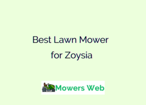 Best Lawn Mower for Zoysia