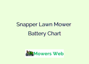 Snapper Lawn Mower Battery Chart