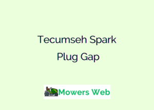 Tecumseh Spark Plug Gap