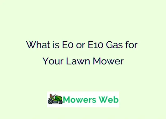 What is E0 or E10 Gas for Lawn Mower