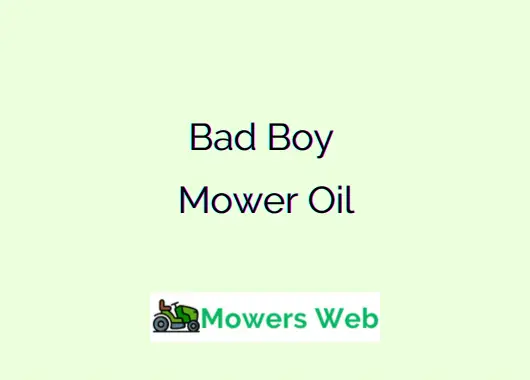 Bad Boy Mower Oil