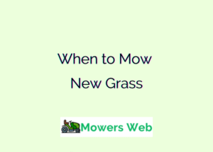 When to Mow New Grass