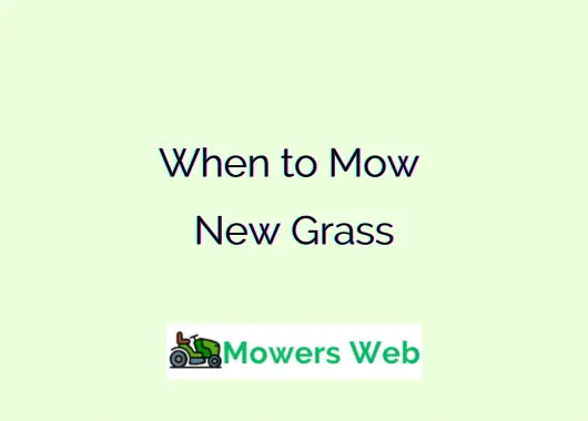 When to Mow New Grass