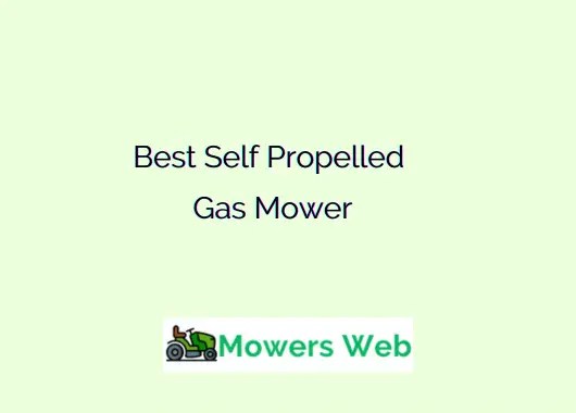 Best Self Propelled Gas Mower