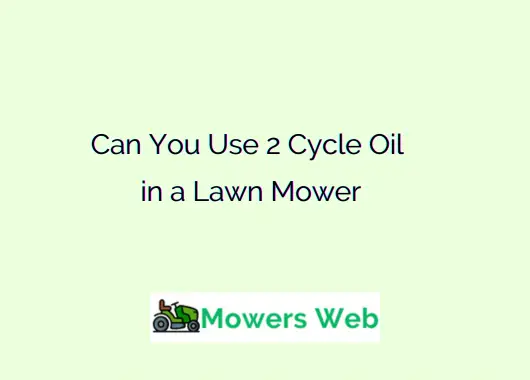 Can You Use 2 Cycle Oil in a Lawn Mower