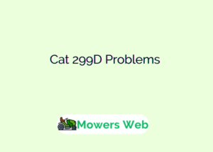Cat 299D Problems