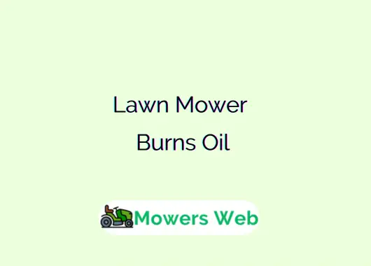 Lawn Mower Burns Oil
