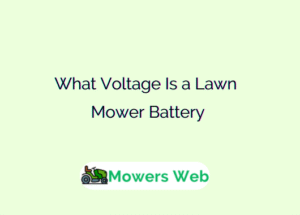 What Voltage Is a Lawn Mower Battery