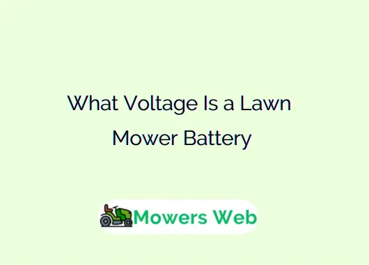What Voltage Is a Lawn Mower Battery