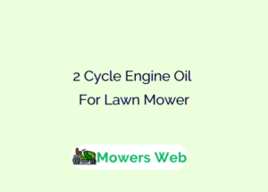 2 Cycle Engine Oil for Lawn Mower