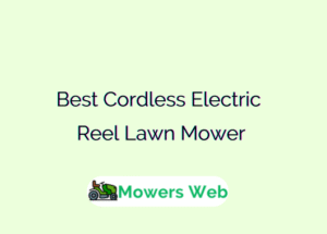 Best Cordless Electric Reel Lawn Mower