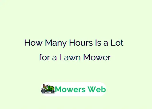 How Many Hours Is a Lot for a Lawn Mower