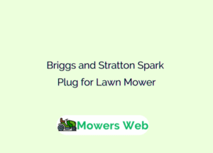 Briggs and Stratton Spark Plug for Lawn Mower