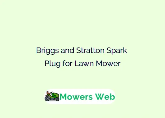 Briggs and Stratton Spark Plug for Lawn Mower