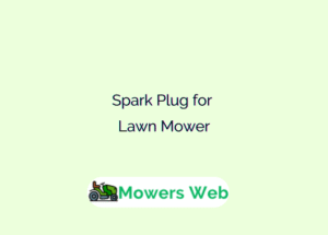 Spark Plug for Lawn Mower