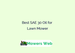 Best SAE 30 Oil for Lawn Mower