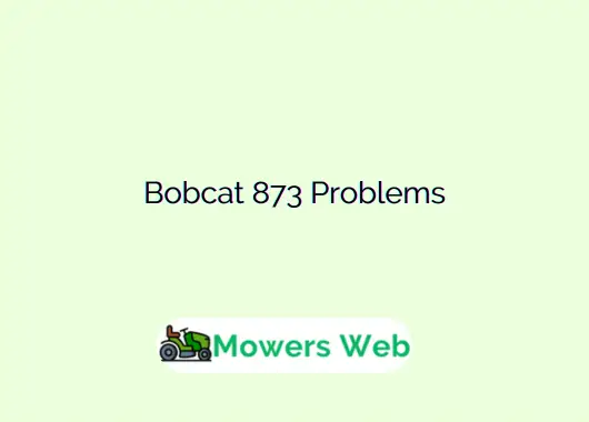 Bobcat 873 Problems