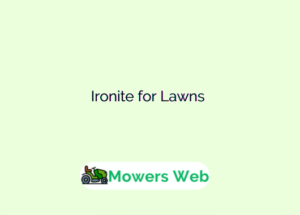 Ironite for Lawns