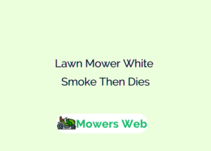 Lawn Mower White Smoke Then Dies