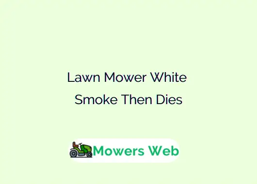 Lawn Mower White Smoke Then Dies
