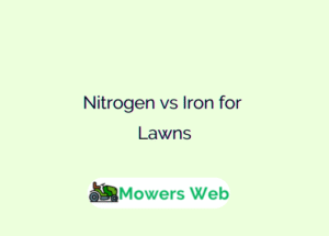 Nitrogen vs Iron for Lawns