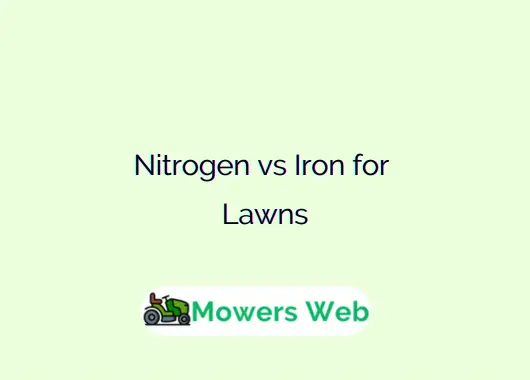Nitrogen vs Iron for Lawns