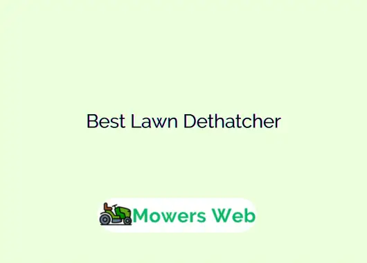 Best Lawn Dethatcher