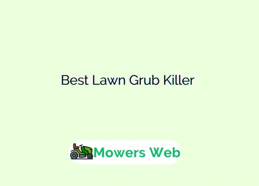 Best Lawn Grub Killer
