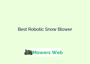 Best Robotic Snow Blower