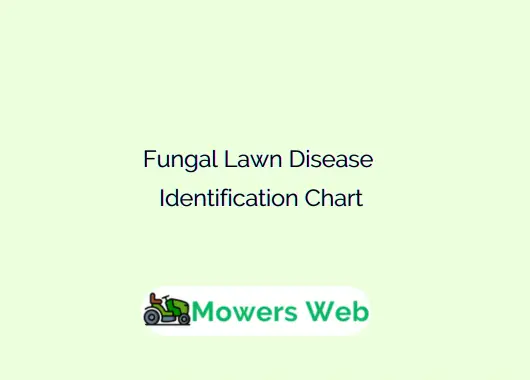 Fungal Lawn Disease Identification Chart