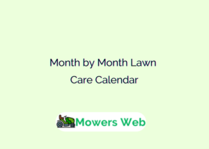 Month by Month Lawn Care Calendar