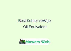 Best Kohler 10W30 Oil Equivalent